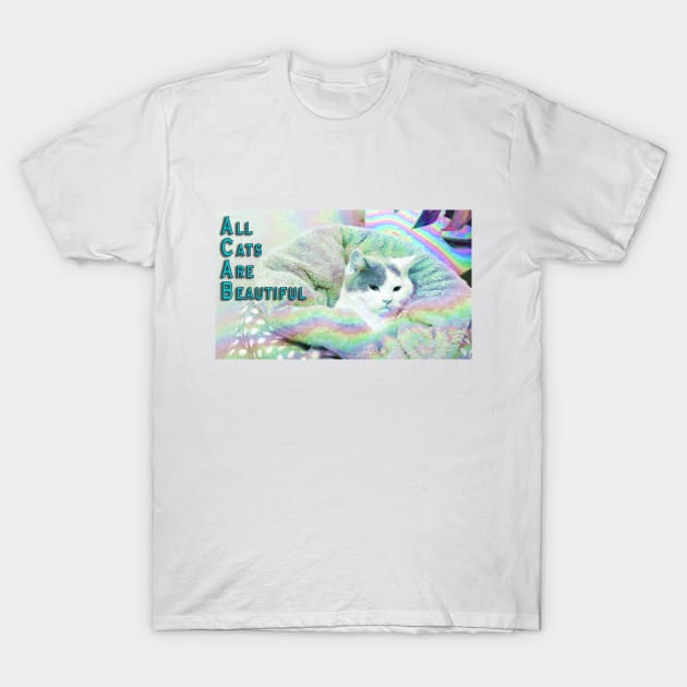 All Cats Are Beautiful T-Shirt by thepaplin